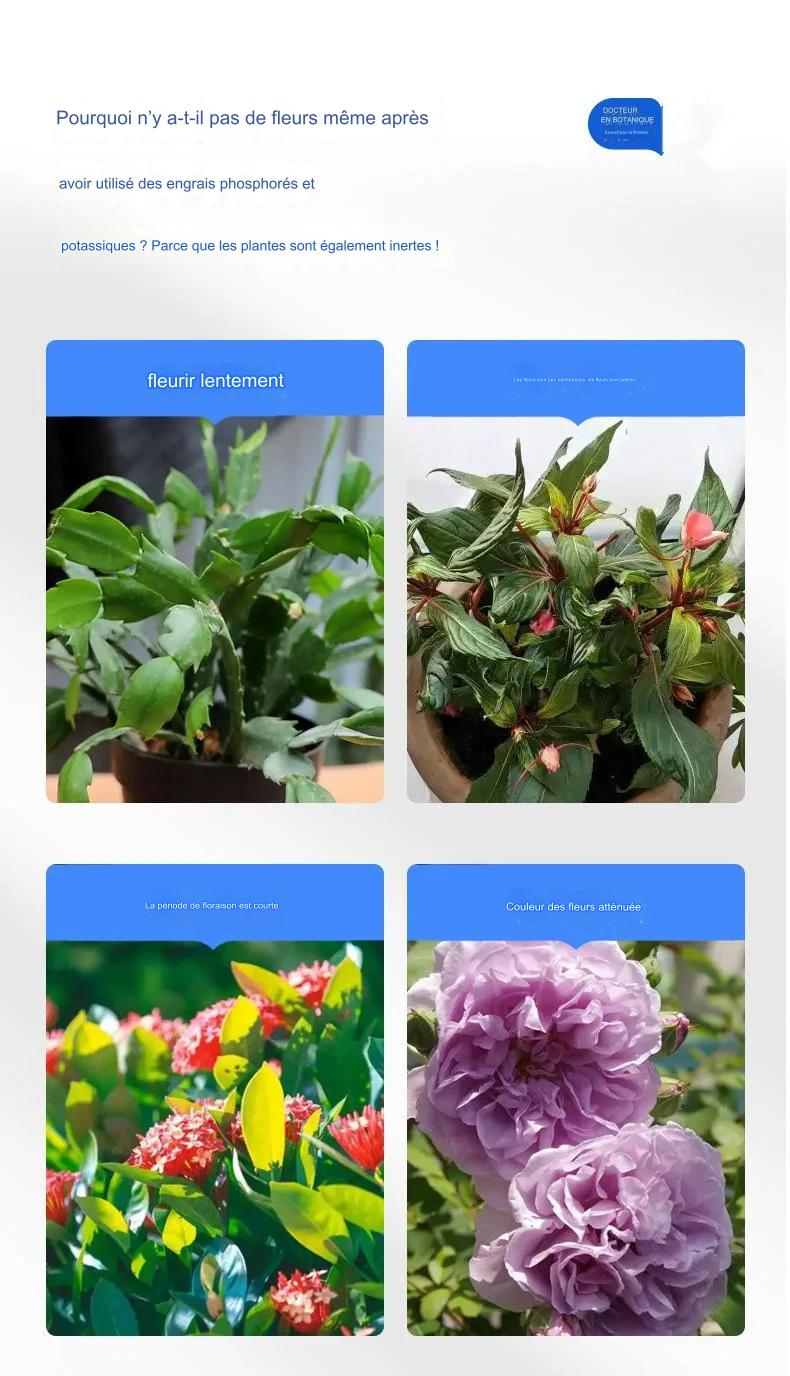 Fleurie de plantes universelles, solution nutritive Ă haute concentration 152
