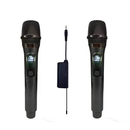 Microphone professionnel sans fil 2 en 1 pour singe