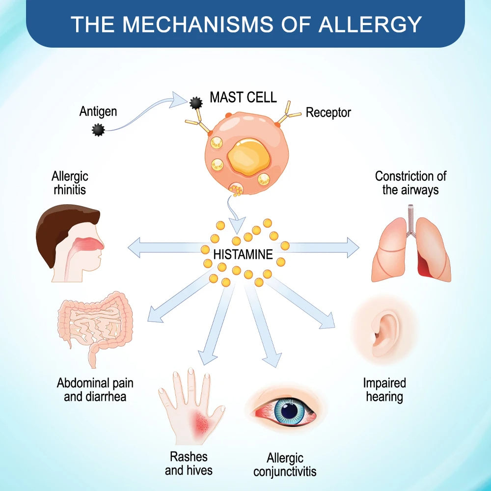Crème antibactérienne pour la peau éliminant les bactéries qui démangent