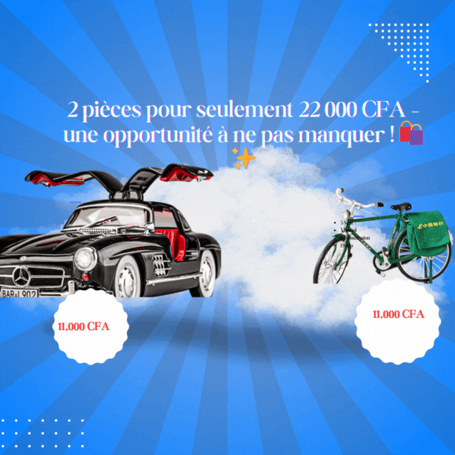 Pack Prestige Rétro : Mercedes-Benz 300SL & |Mini Vélo en Alliage