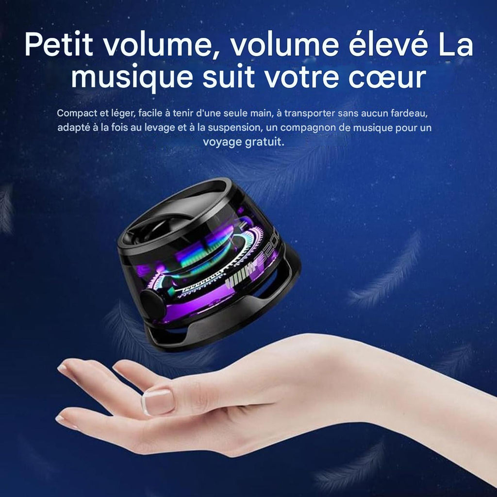 Support de haut-parleur magnétique portable