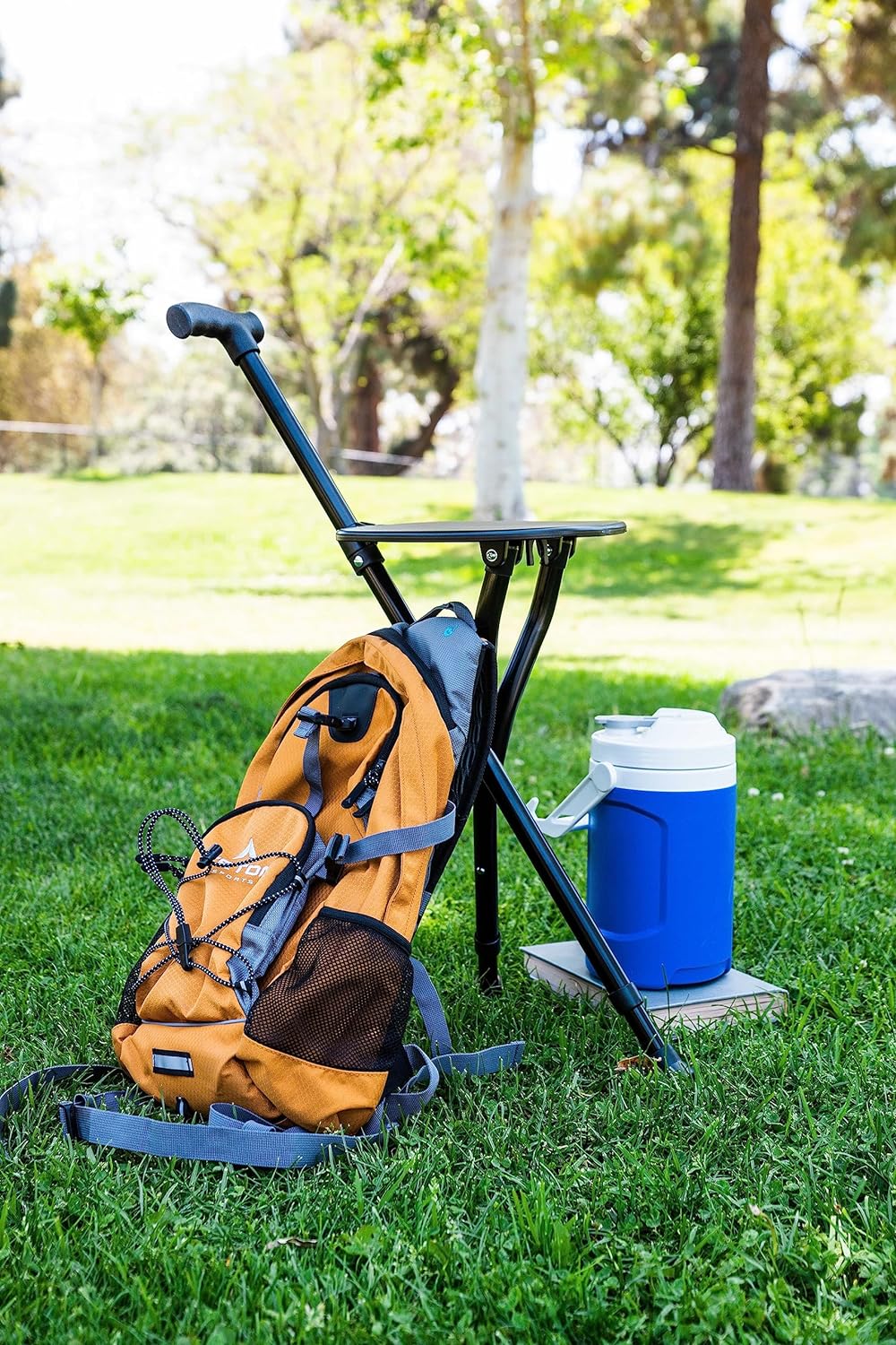 Canne de marche pliante réglable portable