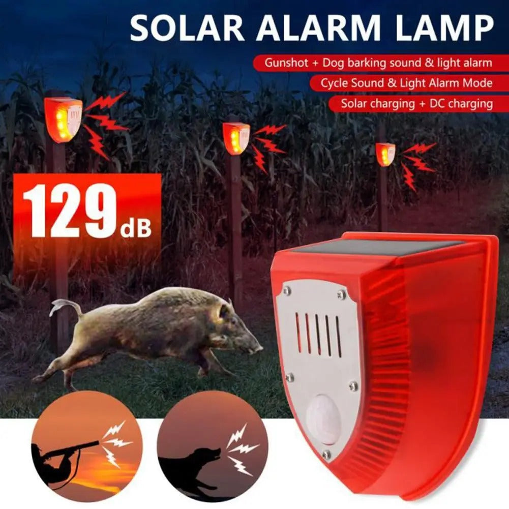 Détecteur de mouvement répulsif solaire pour animaux, lampe d'alarme extérieure
