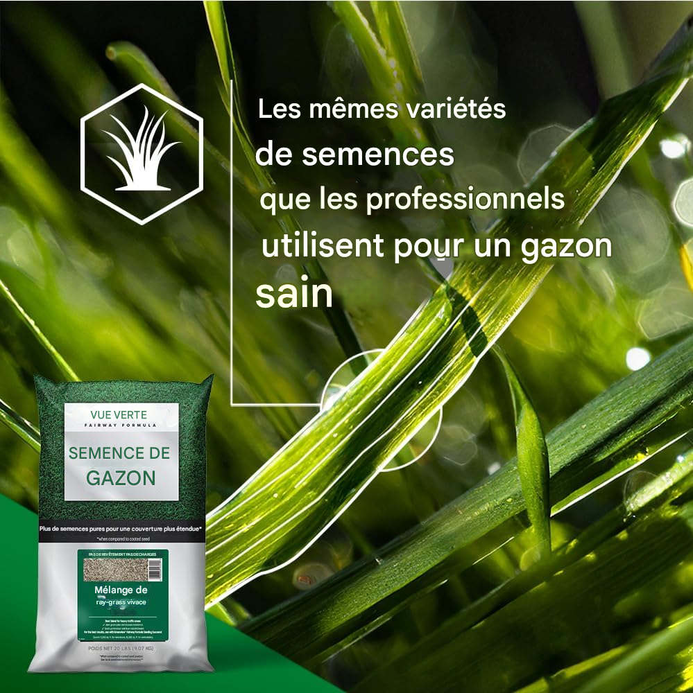 Gazon vert 300 G
