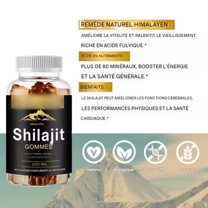 Complément alimentaire, extrait de plantes Shilajit, bonbons