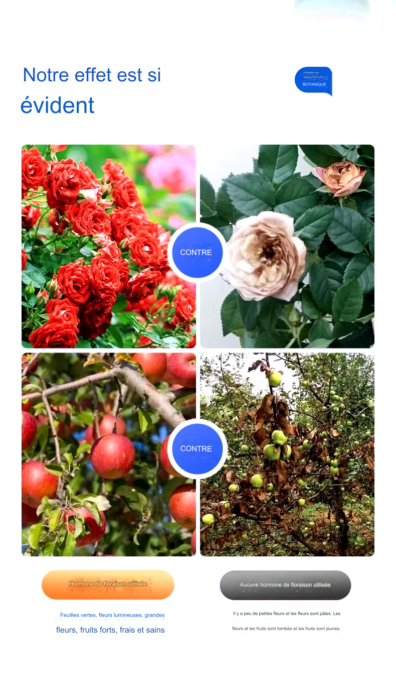 Fleurie de plantes universelles, solution nutritive à haute concentration 152